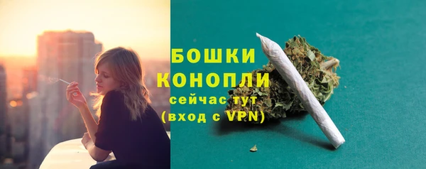 тгк Новодвинск