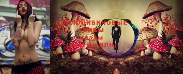 PSILOCYBIN Каменногорск