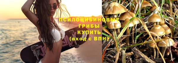 круглые Новозыбков
